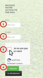 News Fleche